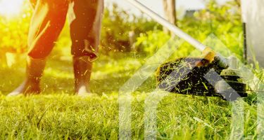 Gartengewerbe Gartenarbeiten Soest Icon